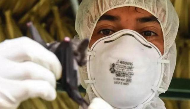 两天确诊8万多！美疫情完全失控，特朗普心腹：年轻人感染是好事