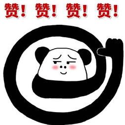 武汉的交通开挂了！将新增2种交通方式、2大新火