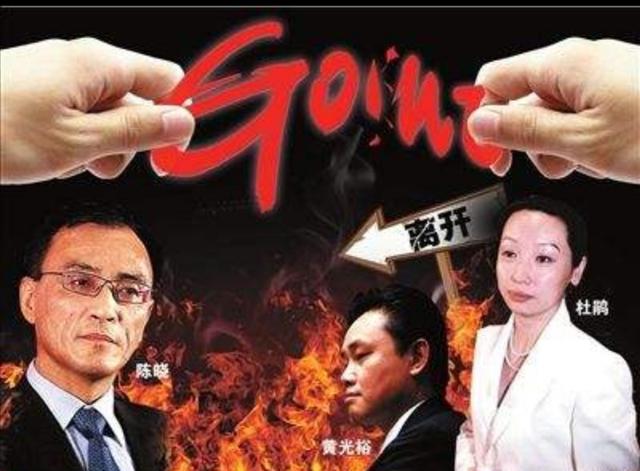 12年的坚守，中国好老婆杜鹃——奉上167亿的国美