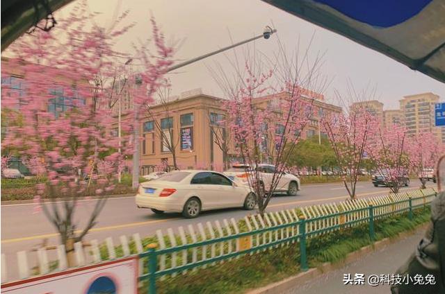 滴滴司机的真实状态：每天跑车10小时，大概能有多少收入？