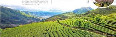 福建福安市：觀光農(nóng)業(yè)現(xiàn)代農(nóng)業(yè)撬動(dòng)鄉(xiāng)村經(jīng)濟(jì)發(fā)展