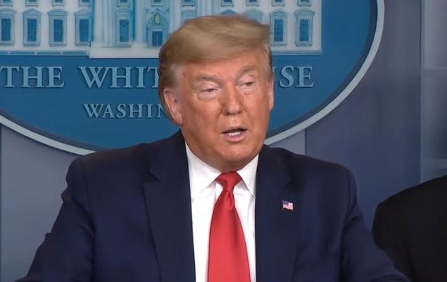 大批秃鹫现身纽约领空，特朗普突然通告海外，下达禁令全球哗然