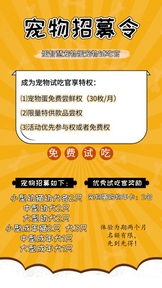 2020年蛋智慧宠物选美大赛，开始报名啦