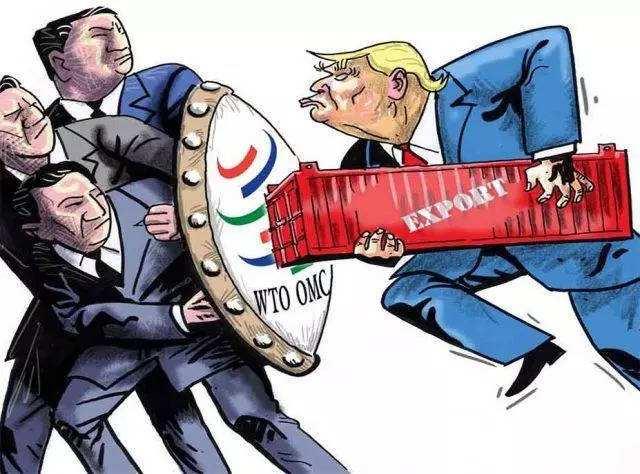 联合国传来坏消息！特朗普却高兴坏了，并一口