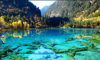 春节假期四川人必去的五个地方，去过三个算你及格