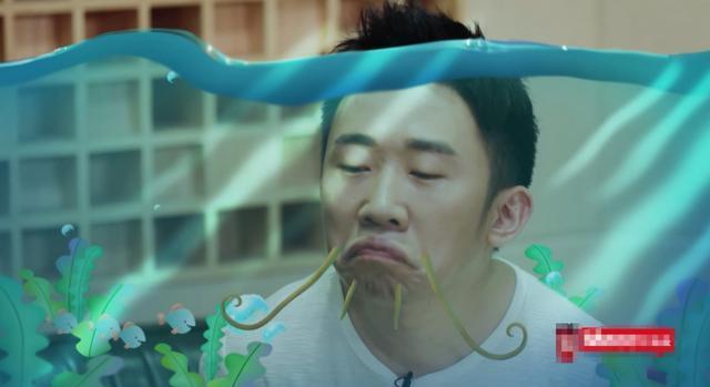 小网红转身成爆火综艺咖，资源差没背景的杨迪，你凭什么这么火？