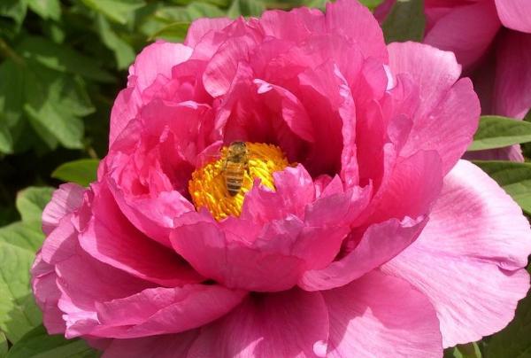 人到中年一事无成，感到茫然无助时，熟读这3句