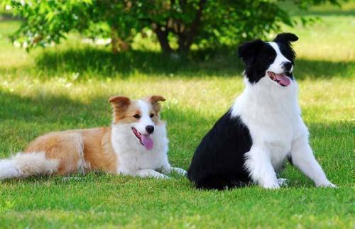 æéåå®¶åº­å»çåç§å¤§åç¬