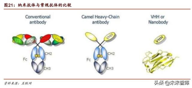 医药生物行业专题报告：Biotech崛起的确定性分析