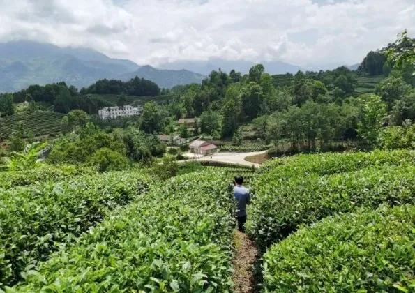 楊凌農(nóng)科，見證小康足跡——2020走出楊凌看示范活動圓滿收官