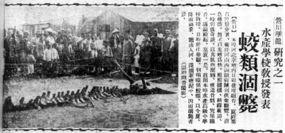 龙吟：贵州山中龙吟为鸟类发出声源 系黄脚三趾鹑发出