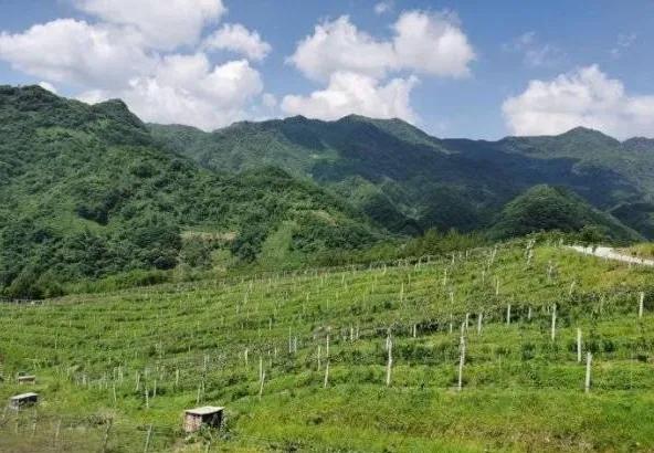 楊凌農(nóng)科，見證小康足跡——2020走出楊凌看示范活動圓滿收官