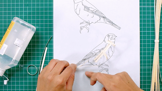 国外小姐姐玩转纸艺，用生活材料打造美丽的鸟