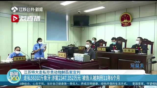 江苏特大走私珍贵动物制品案宣判！被告人走私563公斤象牙被判刑11年6个月