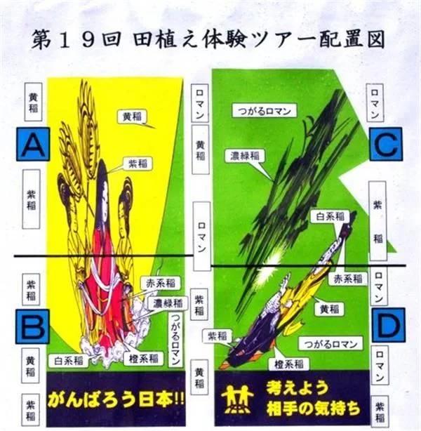 中日两国稻田对比，日本的种田才是上艺术！网友：我要去日本种田