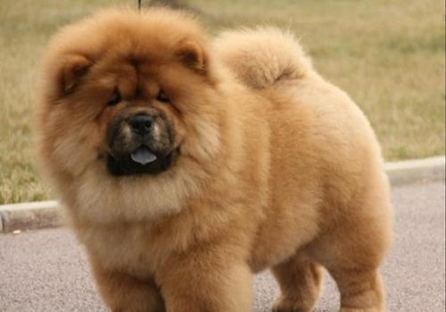 æéåå®¶åº­å»çåç§å¤§åç¬