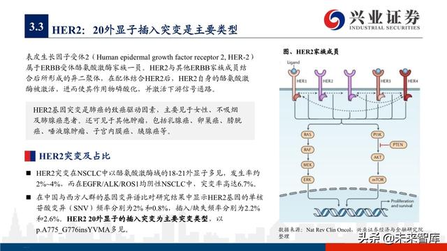 肺癌专题报告：序贯靶向治疗是核心，免疫联合治疗是新常态