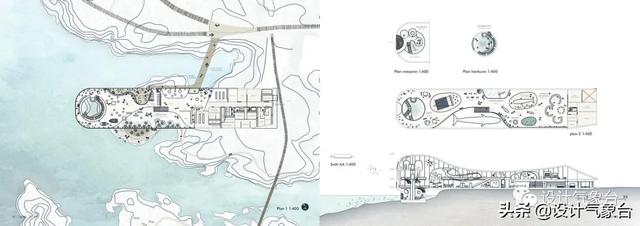 BIG惜败！再牛的方案也比不过一头鲸