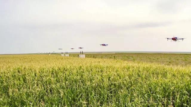 农业：耐得住寂寞，才能守得住繁华