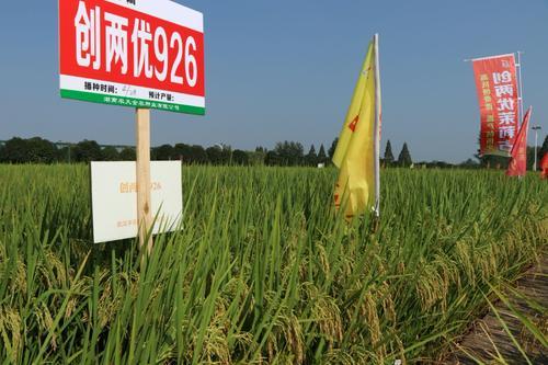 农业产业周报|晓鸣农牧、道道全粮油、双汇发展