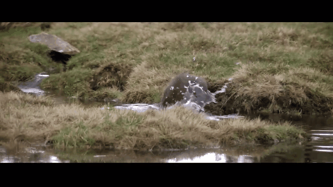 ����9.1�֣���ʵ�¼��ı࣬�ⲿ���ص�Ӱ���ҿ�һ�ο�һ��