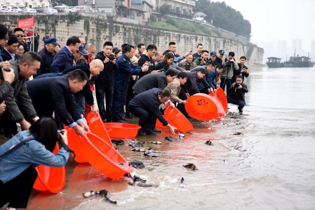 江津区|【聚焦】江津长江流域禁捕退捕工作纪实