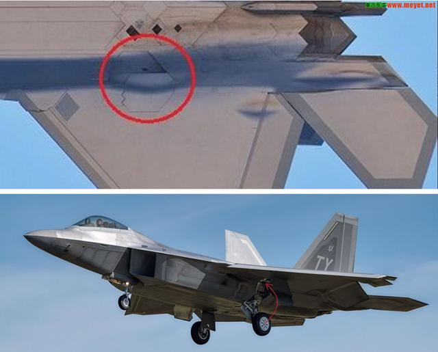 机头大了，机身大了，新鹘鹰3.0曝光威风八面