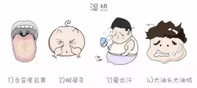 湿热体质遇到三伏天，如何调理？