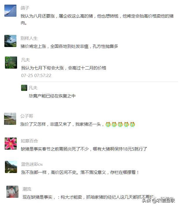 全国猪价大范围上涨！8月能否突破20元？官方：下半年猪价有望40