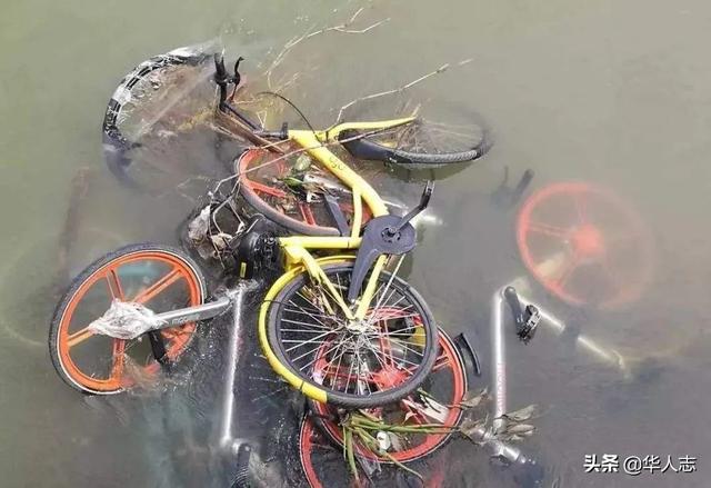 ofo������·����������ġ�������Ƿ��ʮ����Ѻ�𱻴��ԭ��