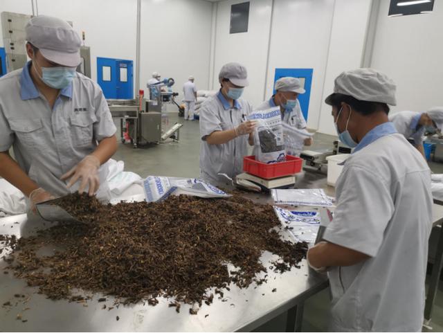 走进我们的小康生活｜静海尚药堂：高质量推动中医药事业和产业融合发展
