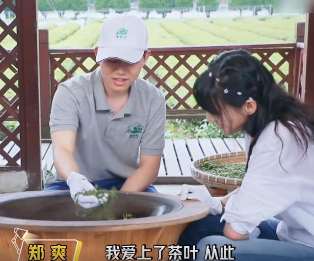 郑爽嗅着茶叶芳香，表情令人陶醉，宛如漫画走出的二次元少女