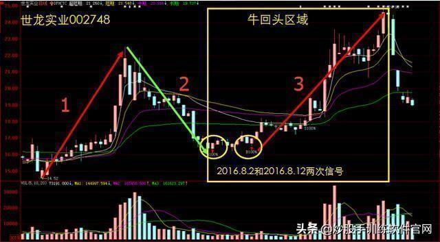 做精一只股，20%资金介入，下跌10%抛，涨20%加仓
