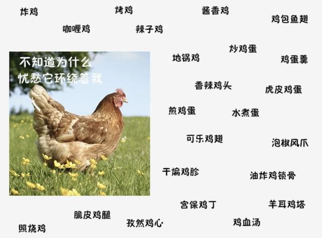 吃鸡，广东人最体面的生活方式