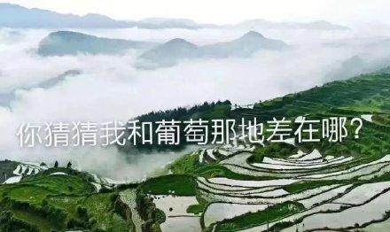 和我|刘昊然直呼和我一起去爬平顶山吗 2020年高考文综地理出炉