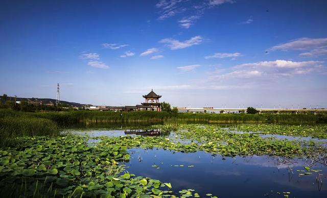 摄影地推荐｜到这些湿地美景探寻“绿野仙踪”