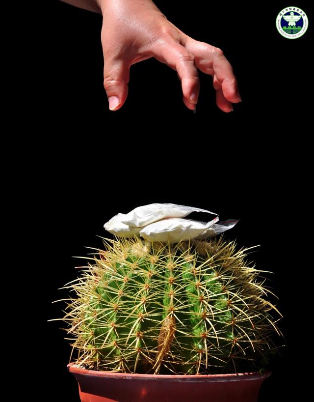 ������Ʒչح�����ģ��þ�ͷ���ݽ���������