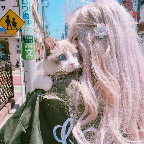 【抱貓女生頭像】抱貓少女頭像仙女們抱走甩贊 ???魔方甜點壁紙