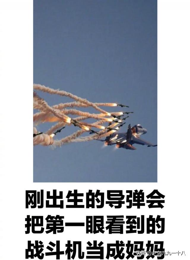 众所周知，直男用心=场面垮台，本以为他们会是王者……