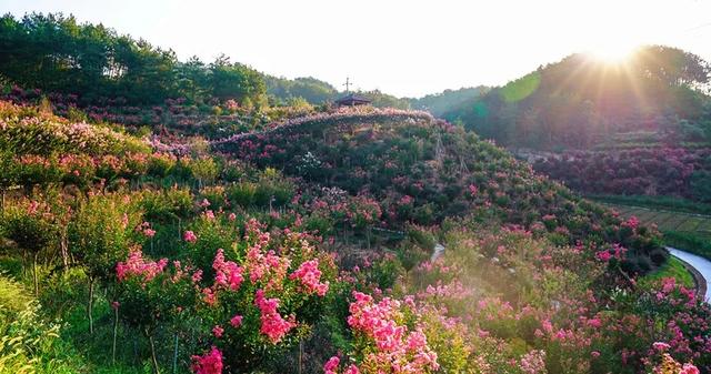 在度假酒店办宴席，在漫山花海中定格回忆…好玩的升学宴万里挑一