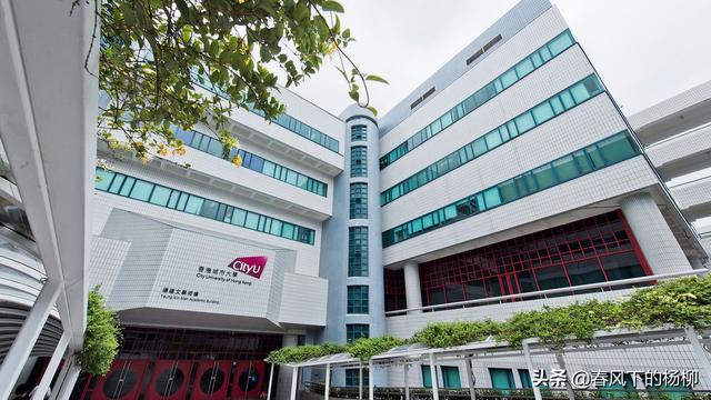 上个月，美国选出了2020全球最好大学排名，香港中文大学113