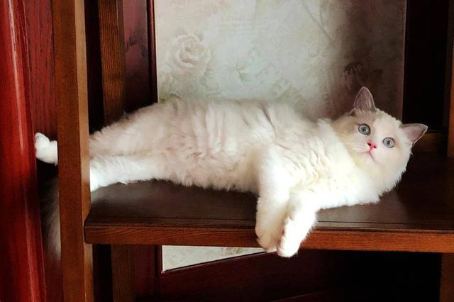 解决桌面排线凌乱困扰，奥睿科(ORICO)电立方桌面立体插座