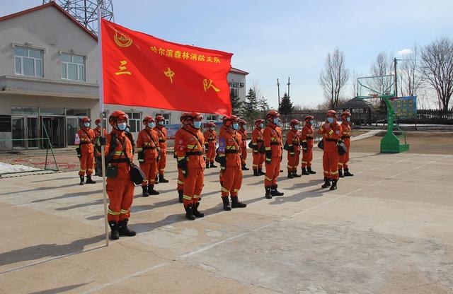 坚守在绿色林海中的火焰蓝