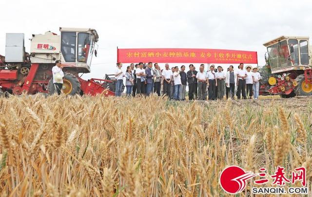 杨凌弘本农业：创新发展五位一体的富硒农产品产业化模式助力扶贫