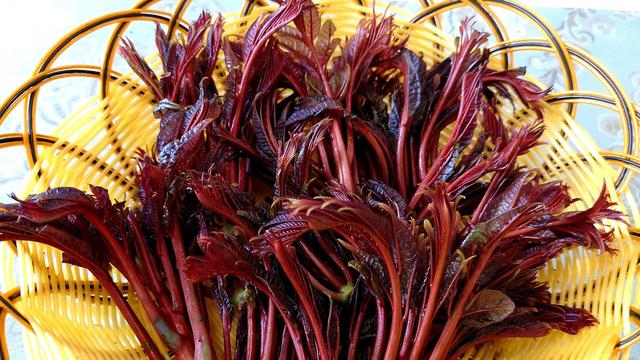 5种蔬菜吃之前要绰水，很多人忽视了，看完以后