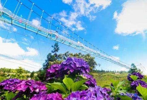 重庆避暑|八月的重庆，空气都是“烫人的”，去这个地方避暑简直不要太安逸