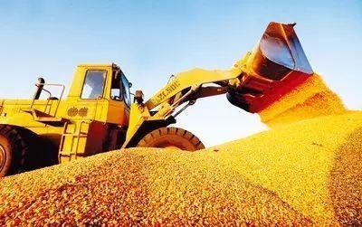 看外资粮商巨头如何布局中国