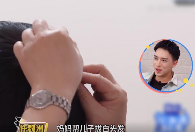 李妈妈说出心愿后，郑爽好奇问有可能吗？李晨