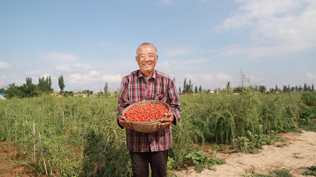 解密黄峥：靠着农货上行，把拼多多做成了中国第二大电商