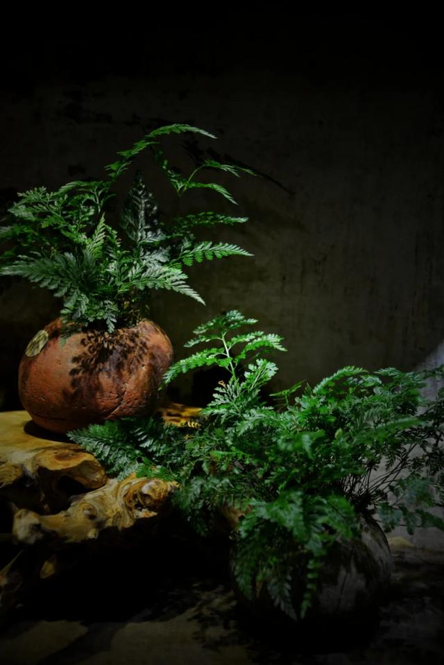 「一波」今日小暑 来一波和小暑有关的唯美图片发朋友圈